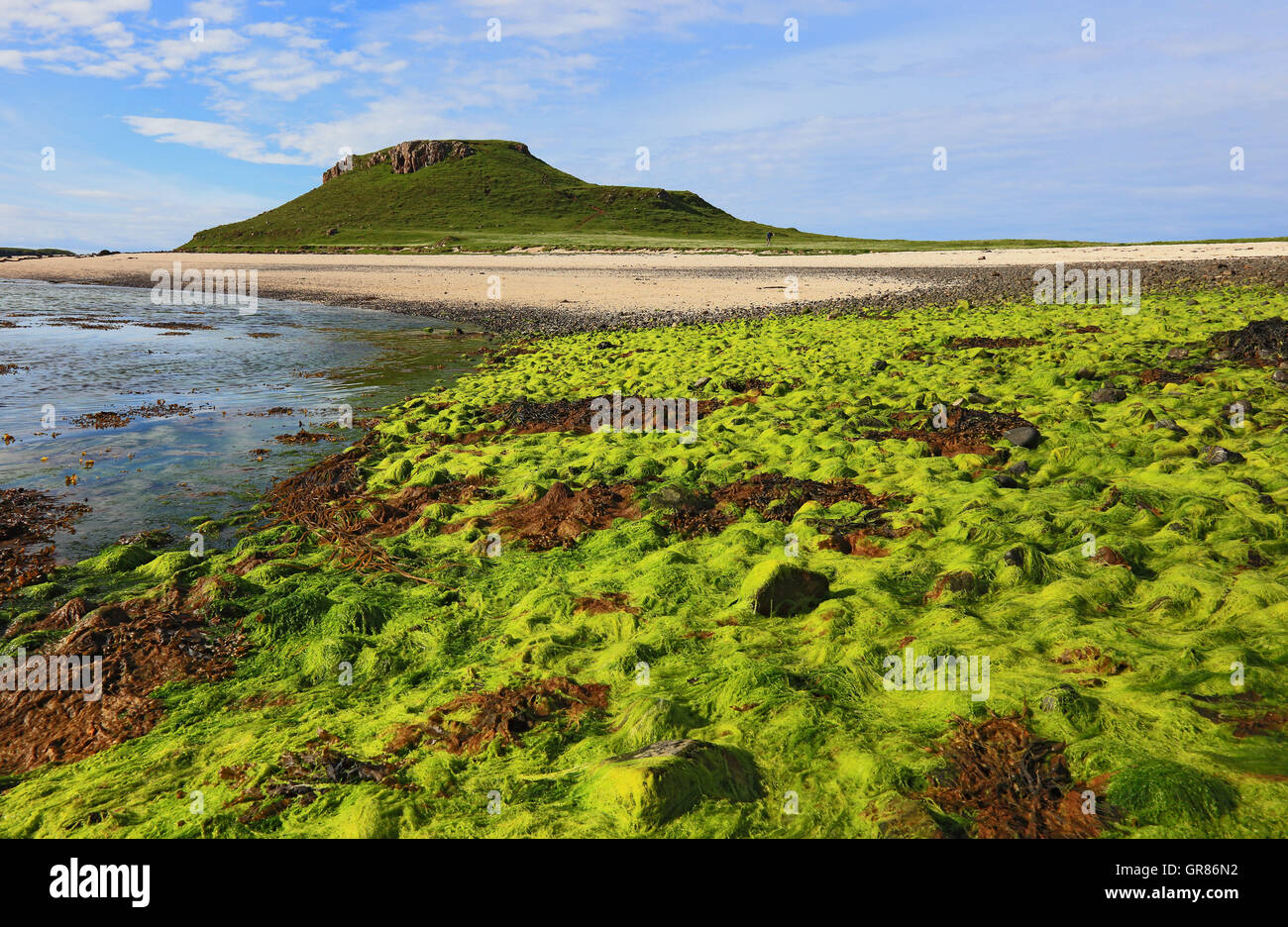 Schottland, die Inneren Hebriden, Isle of Skye, Duirinish Halbinsel, Landschaft im Coral Beach mit Claigan Stockfoto