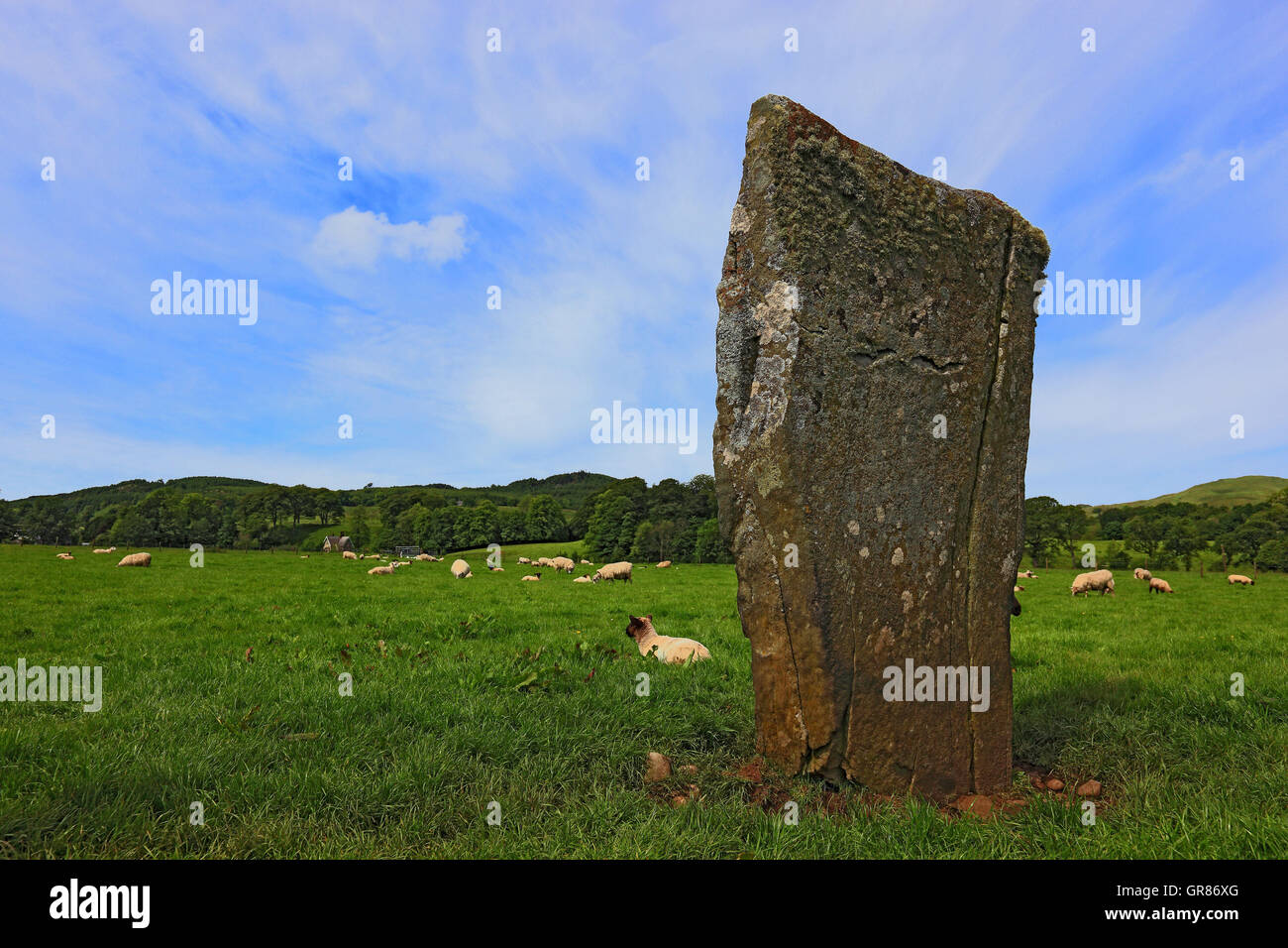 Schottland, Kilmartin Glen, Nether Largie Menhire, Menhire auf einer Wiese mit Schafen Stockfoto