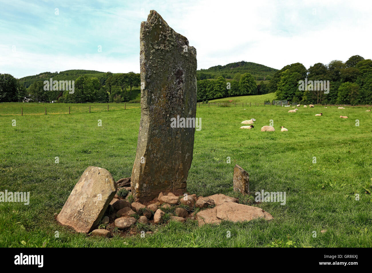 Schottland, Kilmartin Glen, Nether Largie Menhire, Menhire auf einer Wiese mit Schafen Stockfoto