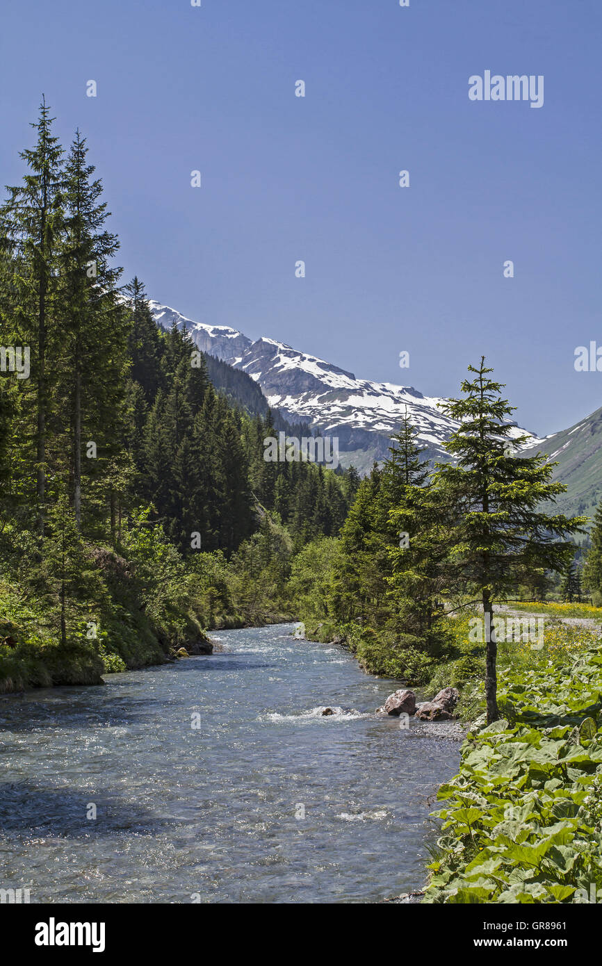 Gebirgsbach fließt durch den Urnerboden, Bereich grösste Alp der Schweiz Stockfoto