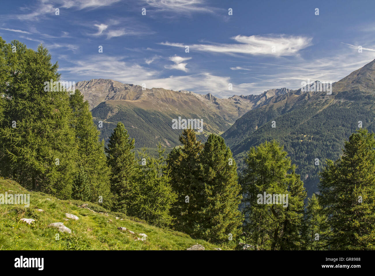 Blick auf die Ötztaler Alpen aus dem Innerbergalm Stockfoto