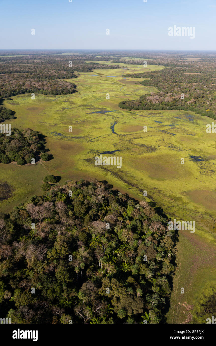 Vazante do Castelo, saisonale Wasserbett Kanal im südlichen Pantanal, während der trockenen Jahreszeit Stockfoto