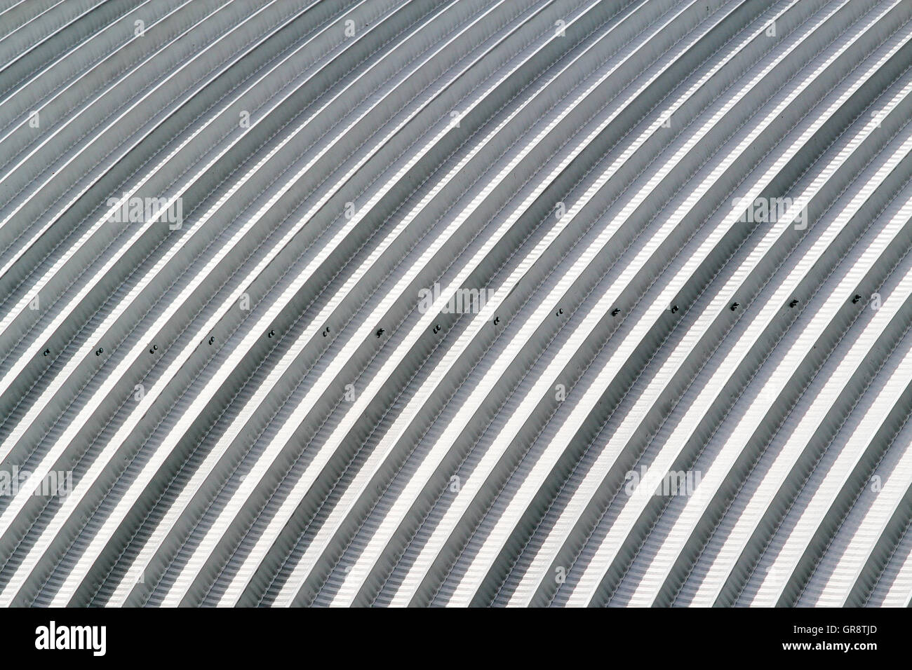 Kurve Blatt Aluminiumdach, Fabrikdach Stahl Stockfoto