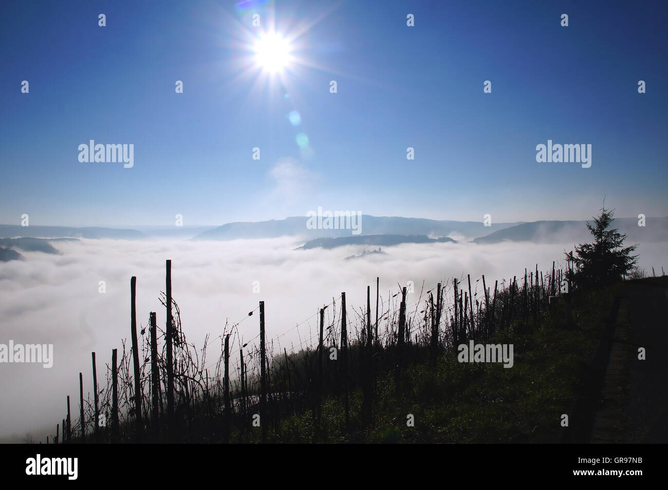 Dichter Nebel in der Nähe von Wolf und Kröv an der Mosel Stockfoto