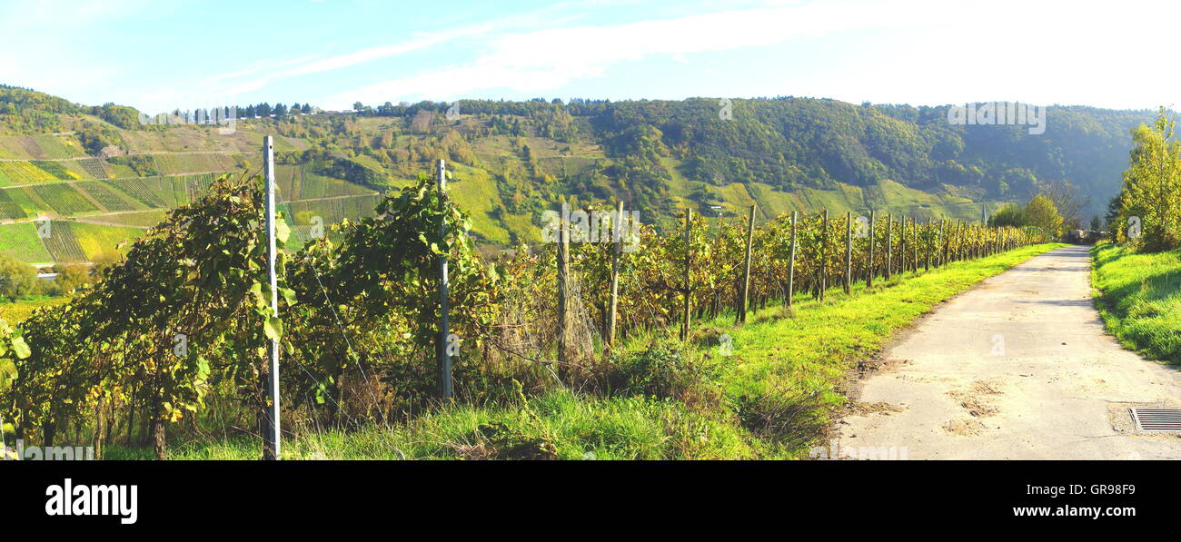 Weinberge von Traben-Trarbach Wolf und Kröv mit Lane Panorama Stockfoto