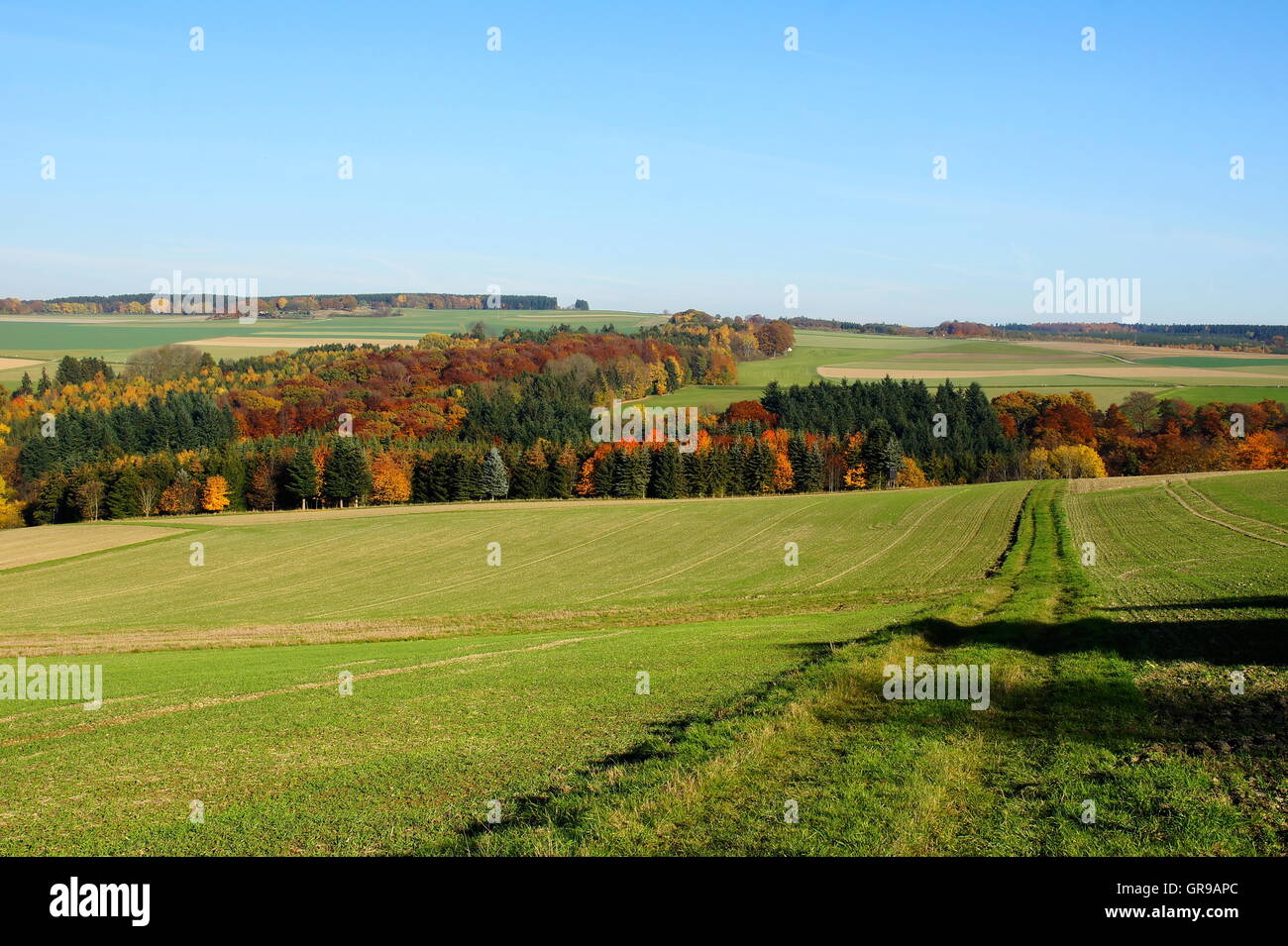 Bunte Herbst-Wald und Wiesen in der Nähe von Kleinich im Hunsrück Stockfoto