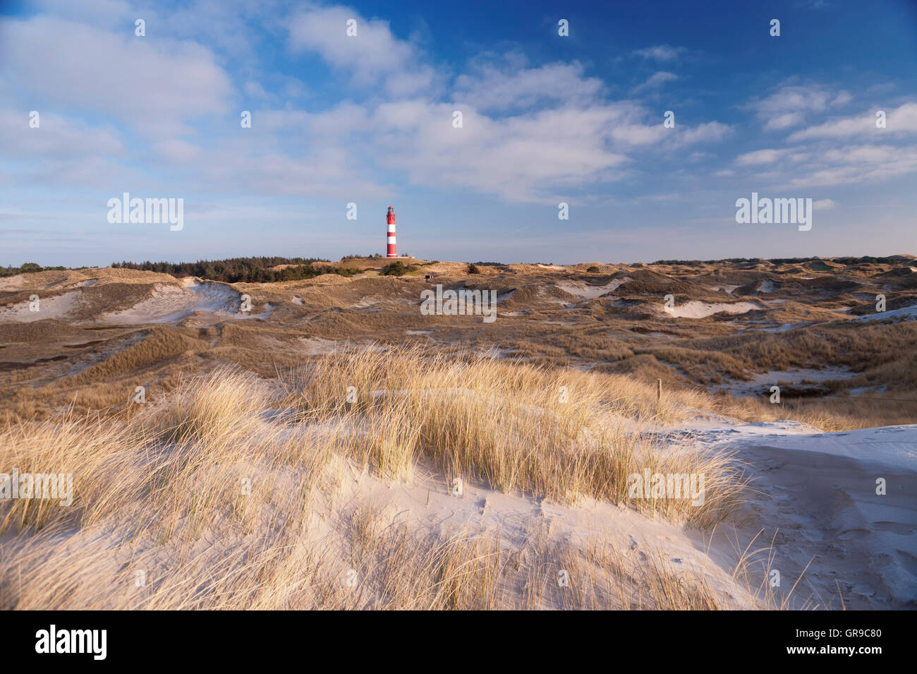 Leuchtturm auf Amrum Stockfoto