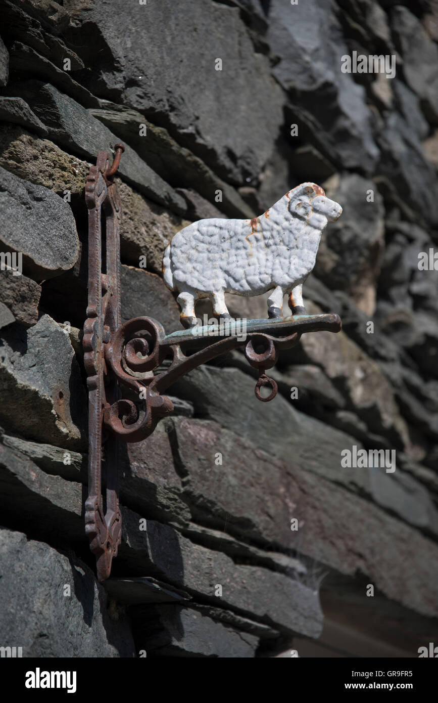 Schafe zu unterzeichnen, bei The Flock-In, Rosthwaite, Borrowdale, Lake District, Cumbria Vereinigtes Königreich Stockfoto