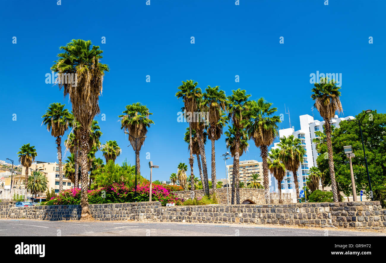 Garten und die Stadtmauern in Tiberias - Israel Stockfoto