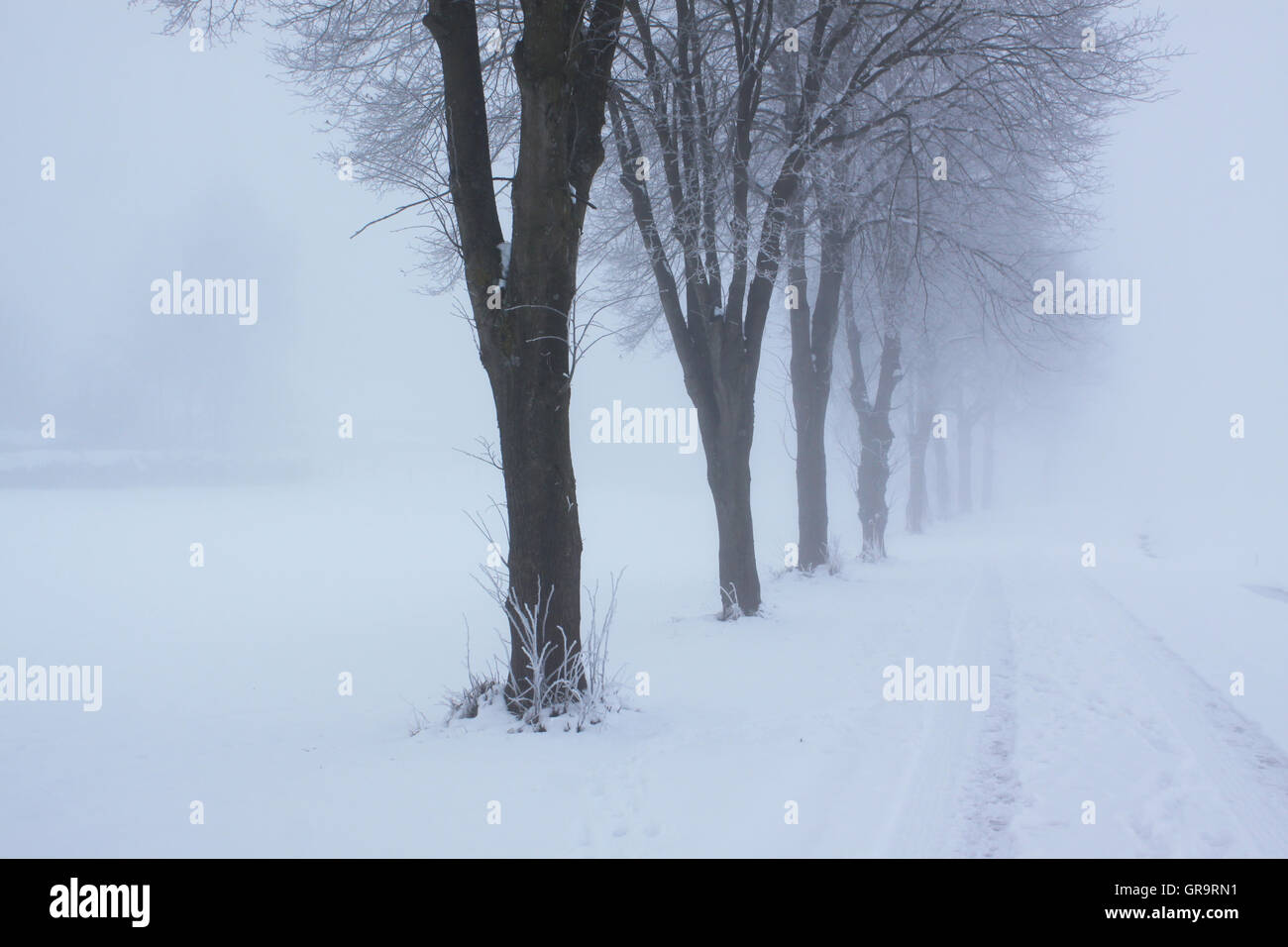 Kalte Winter Stockfoto