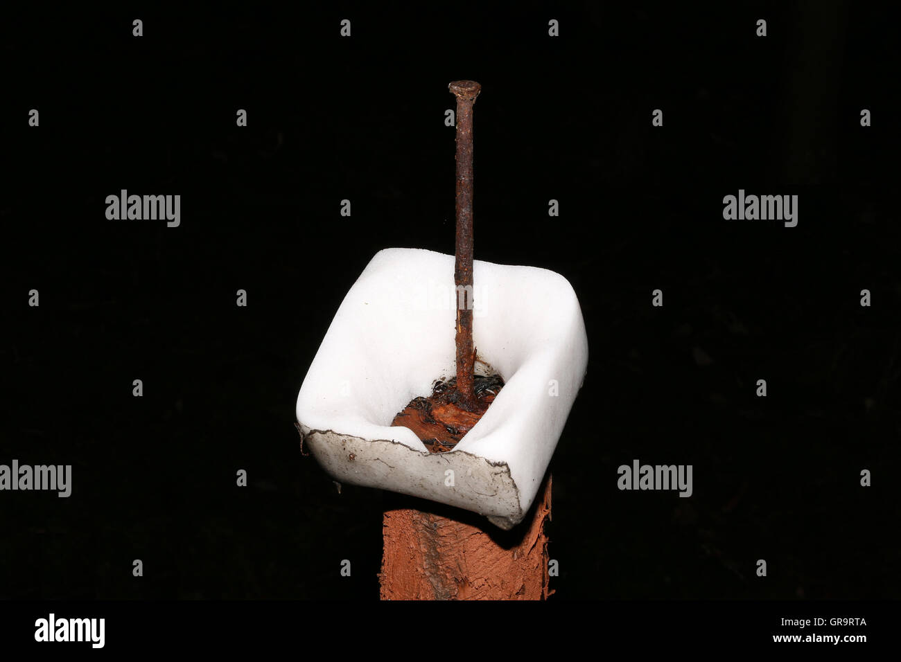 Leck Stein Stockfoto