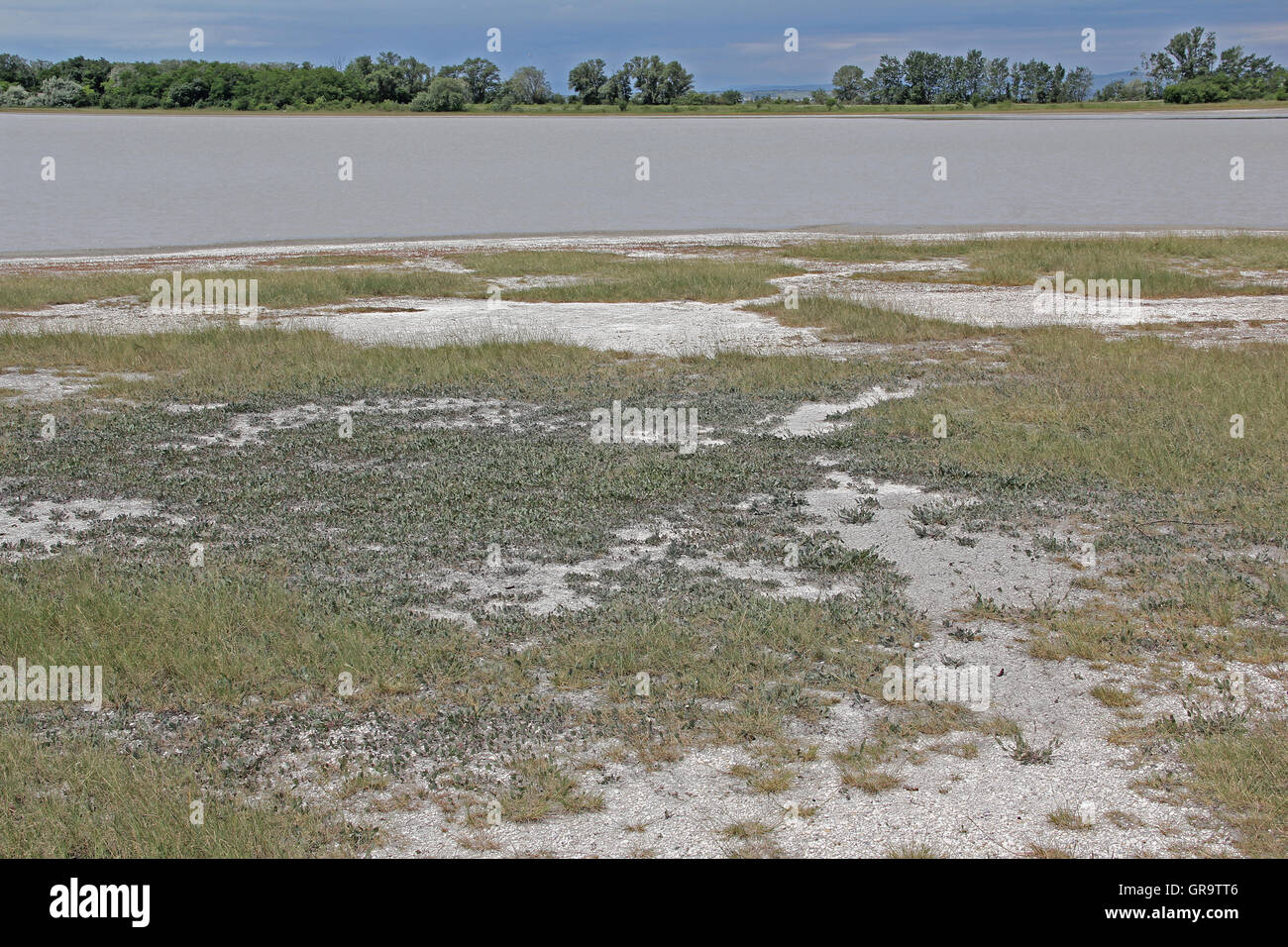 Salz-Wasser-See im Burgenland, Österreich Stockfoto