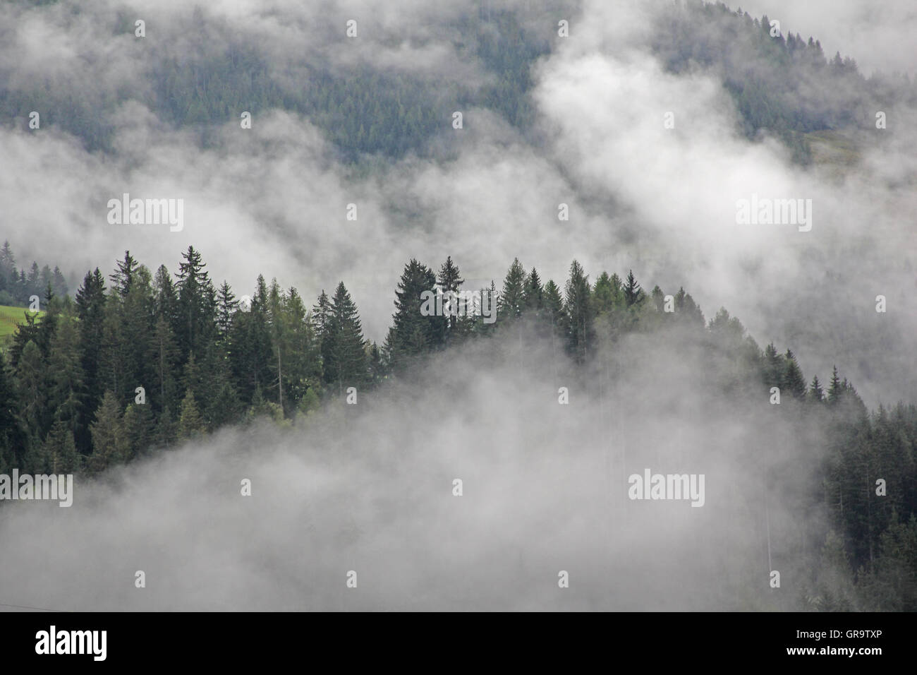 Wolke im September über den Bergwald In Kärnten, Österreich Stockfoto