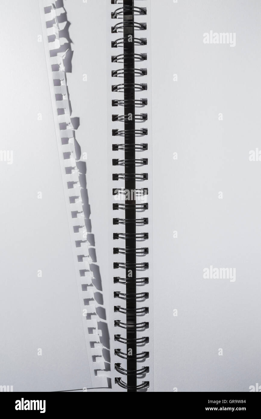 Seite aus einem leeren weißen Notebook gerissen. Stockfoto