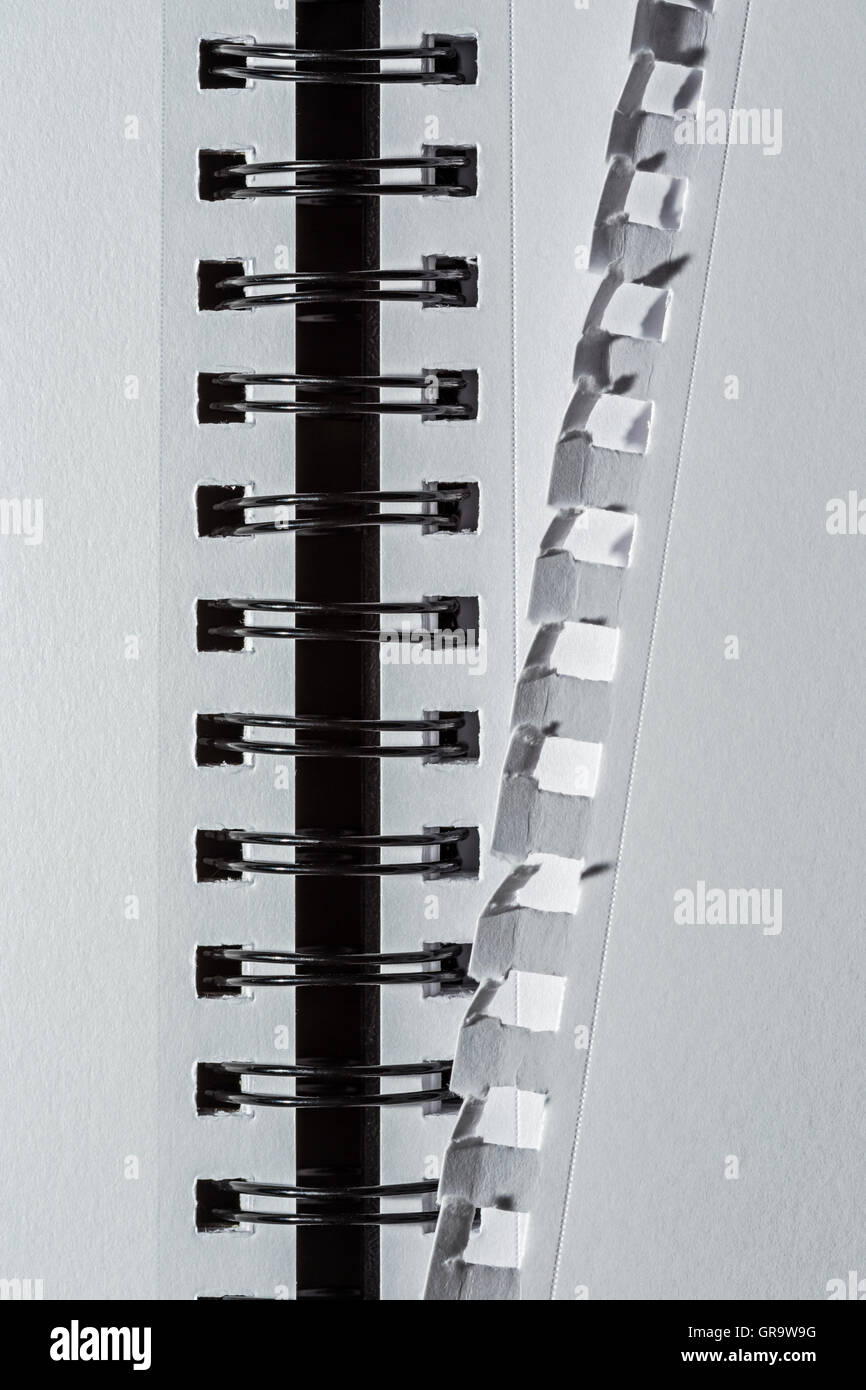 Seite aus einem leeren weißen Notebook gerissen. Stockfoto