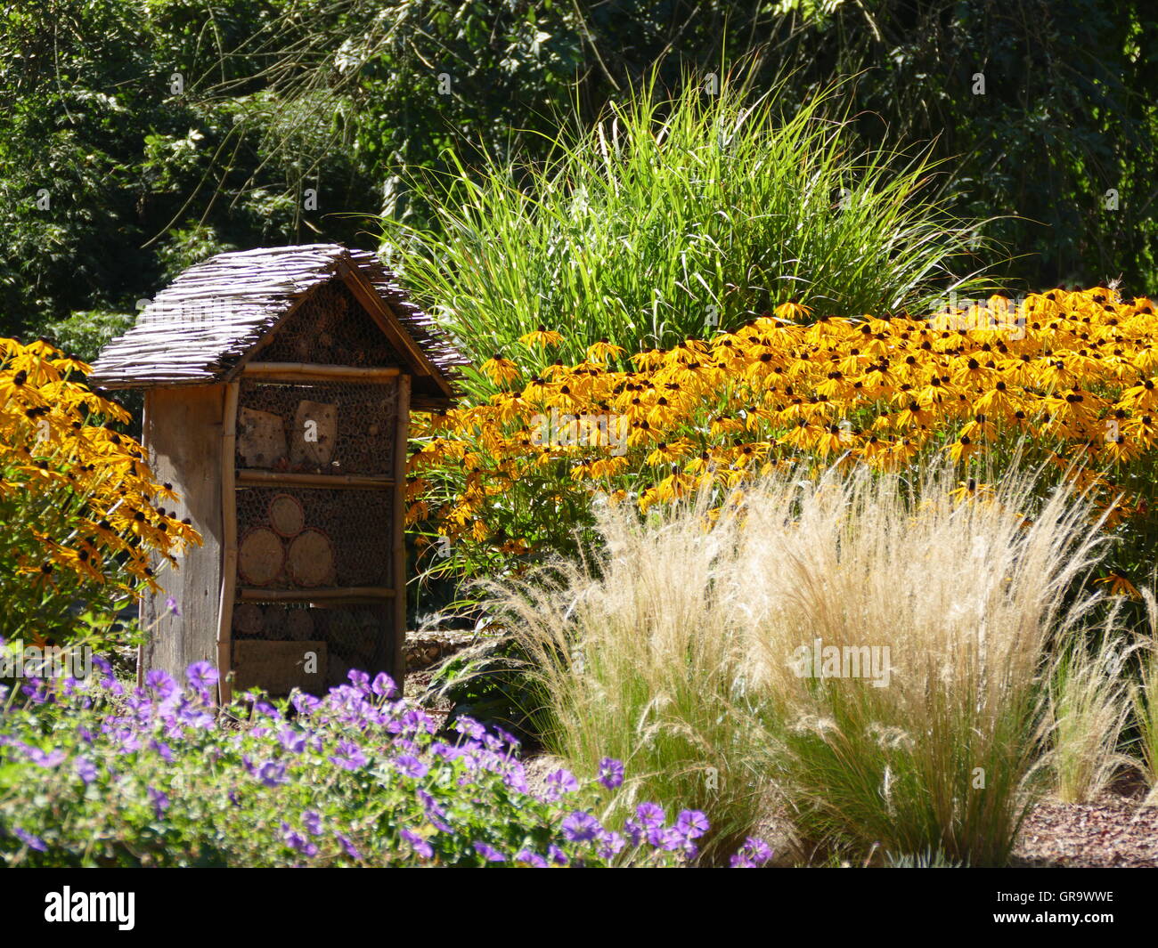 Grugapark Gruga Park Botanischer Garten Essen Nordrhein Westfalan