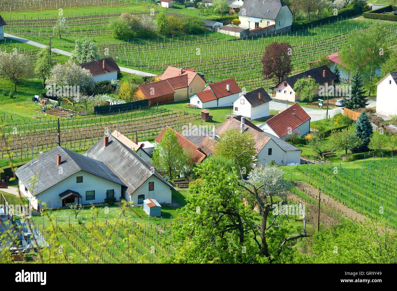 Weingut In Österreich Stockfoto