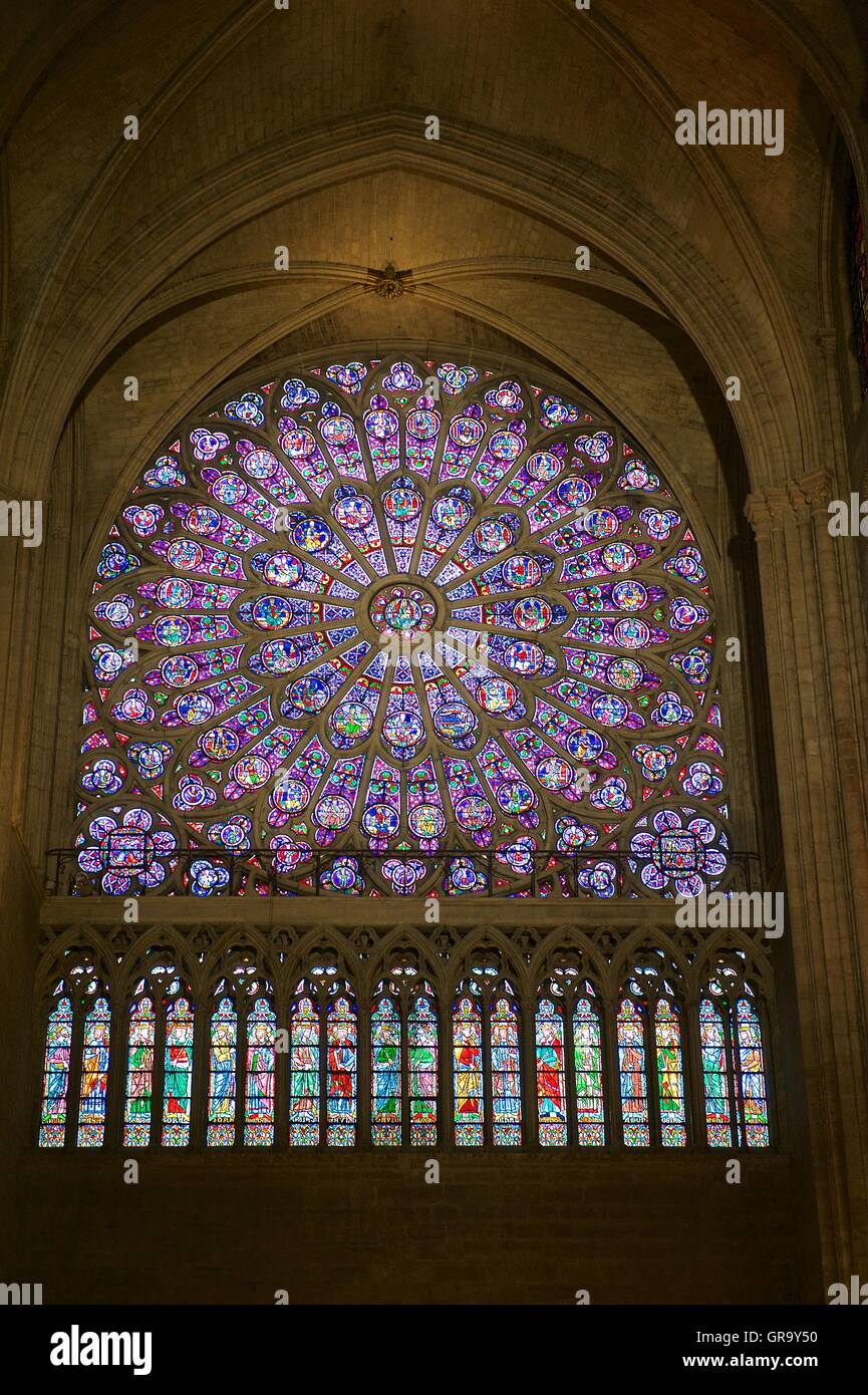 Notre-Dame, Paris Stockfoto