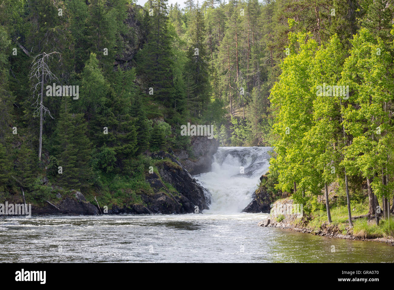 Wasserfall In einem Finnisch-Canyon im Oulanka National Park Stockfoto