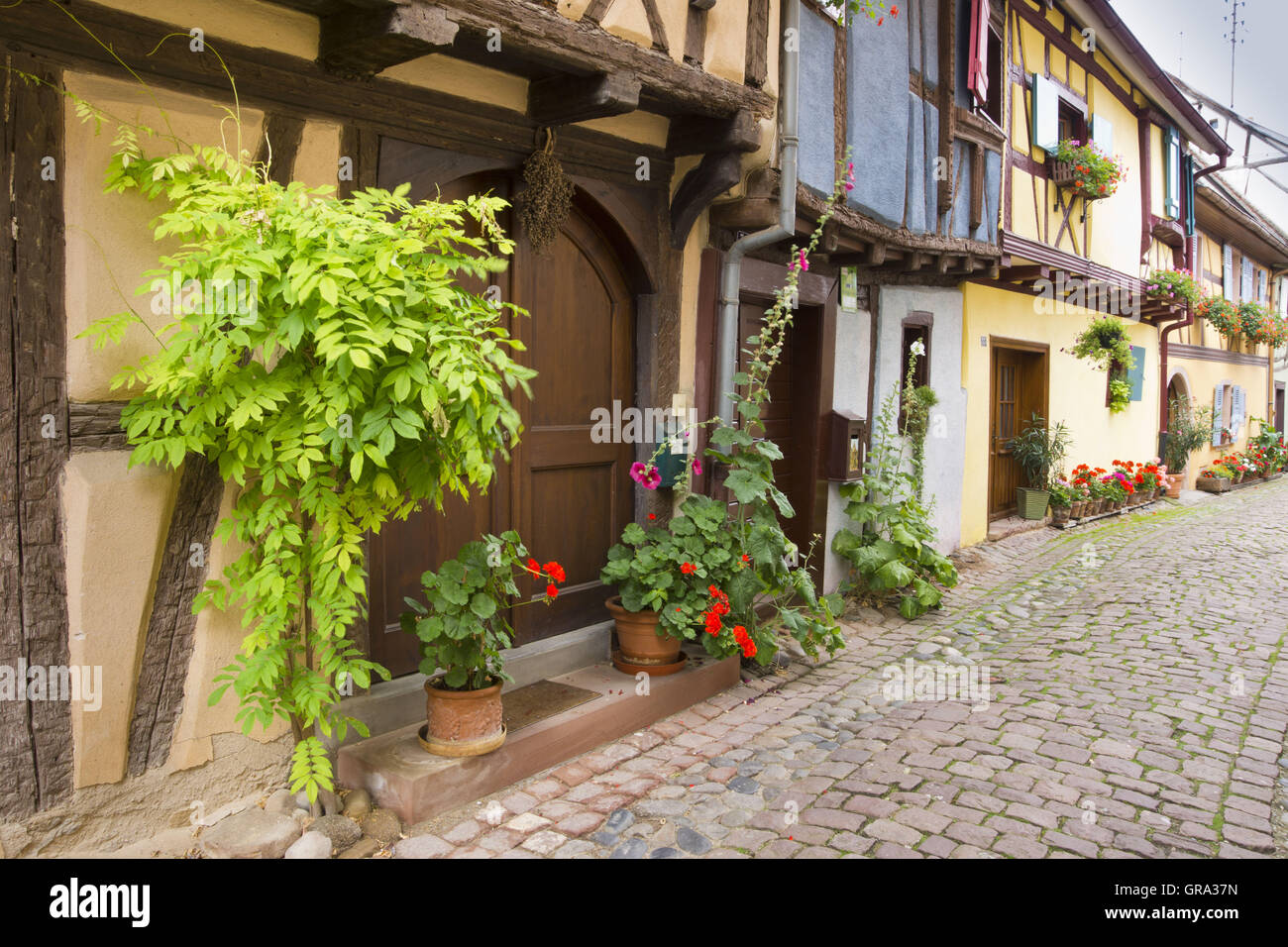 Eguisheim, Elsass, Frankreich, Europa Stockfoto