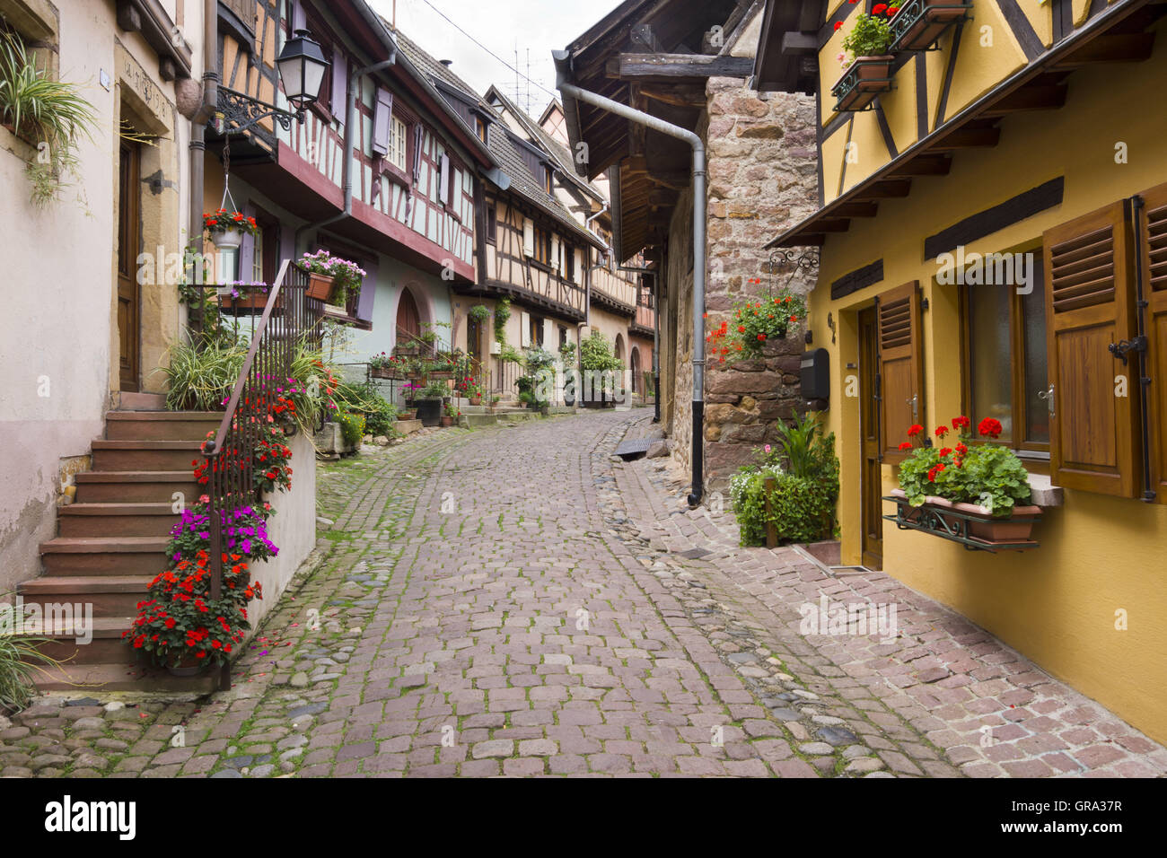 Eguisheim, Elsass, Frankreich, Europa Stockfoto
