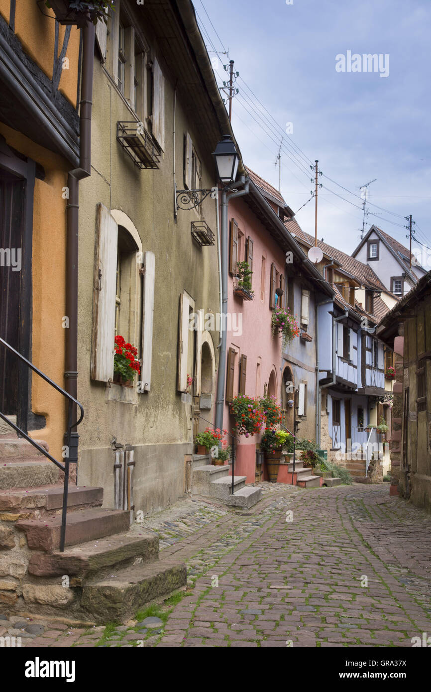Eguisheim, Elsass, Frankreich, Europa Stockfoto