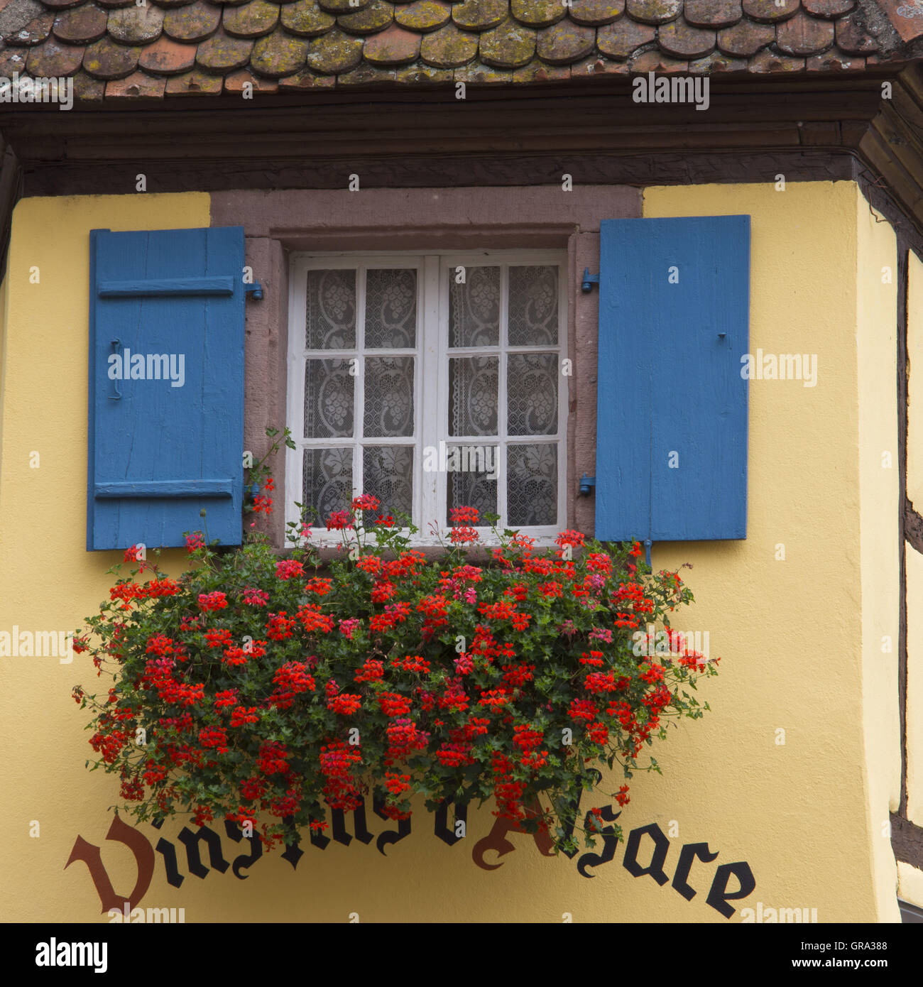 Fenster, Eguisheim, Elsass, Frankreich, Europa Stockfoto