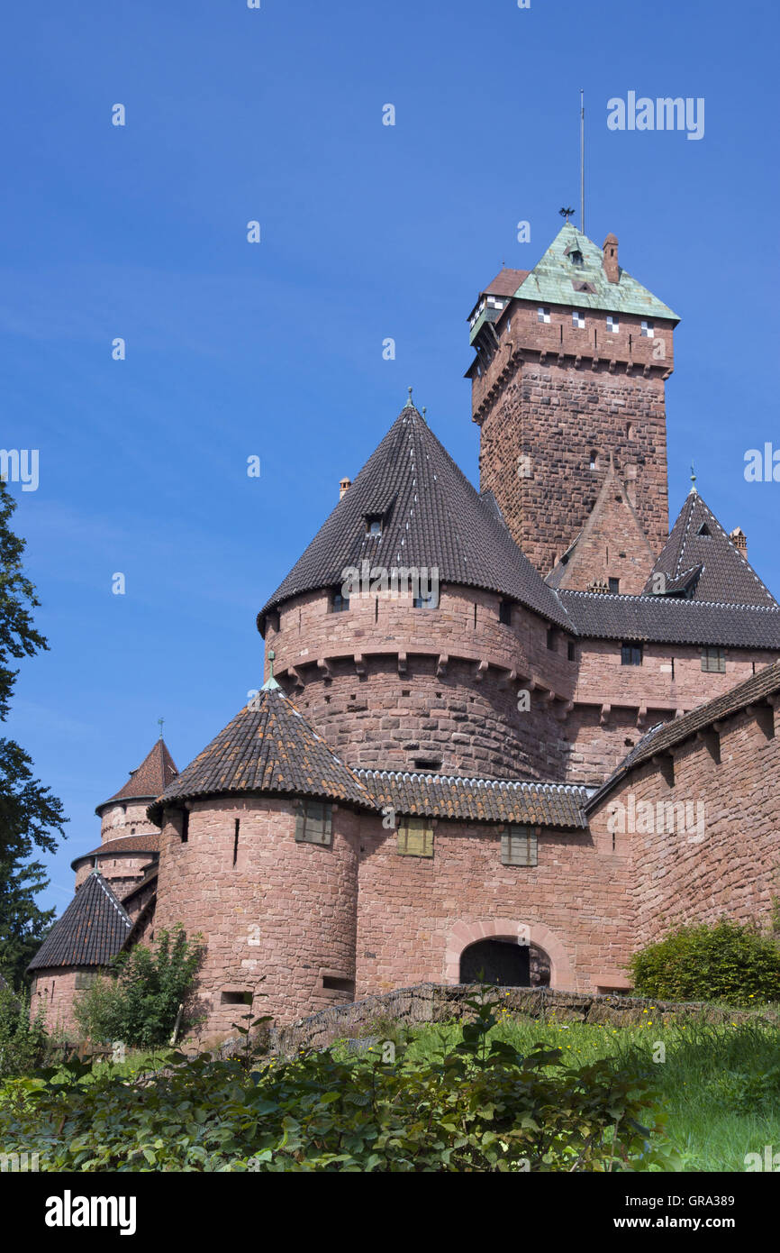 Haut Koenigsbourg Schloss, Elsass, Departement Bas-Rhin, Frankreich, Europa Stockfoto