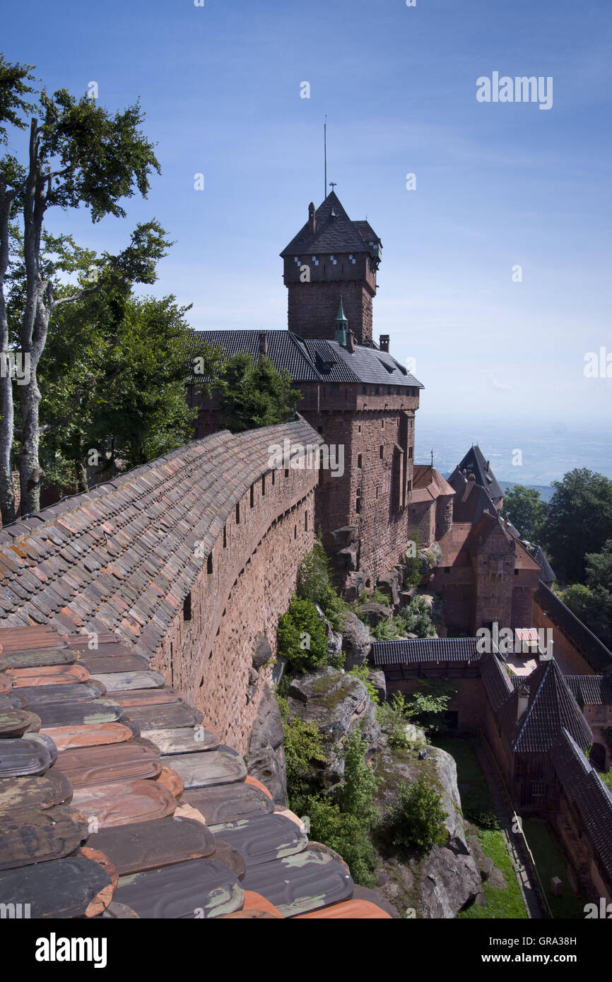 Haut Koenigsbourg Schloss, Elsass, Departement Bas-Rhin, Frankreich, Europa Stockfoto