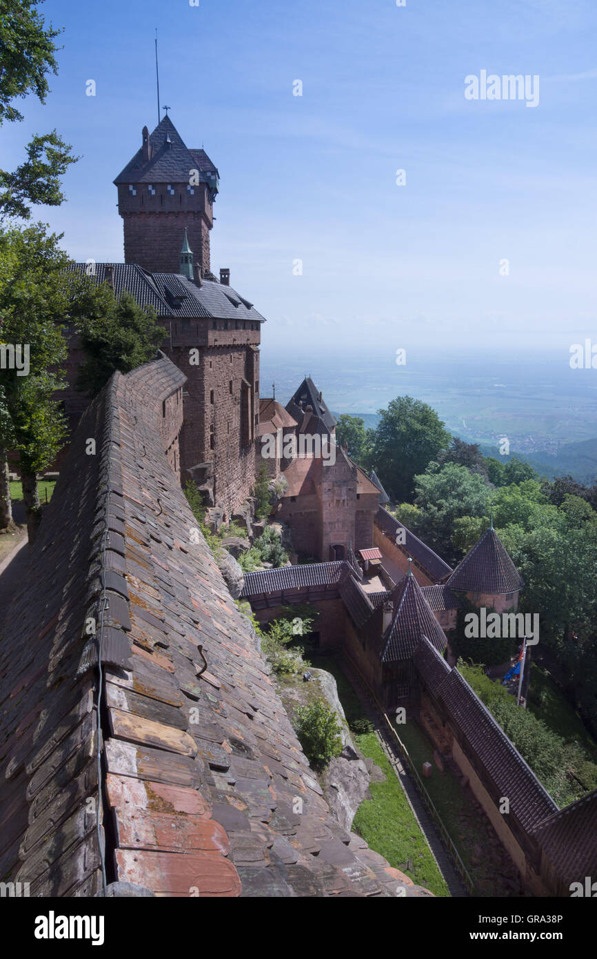 Haut Koenigsbourg Schloss, Elsass, Departement Bas-Rhin, Frankreich, Europa Stockfoto