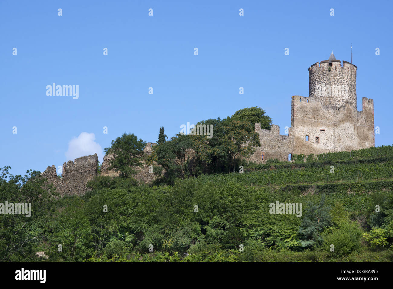 Burgruine Kaysersberg, Haut-Rhin, Elsass, Frankreich, Europa Stockfoto