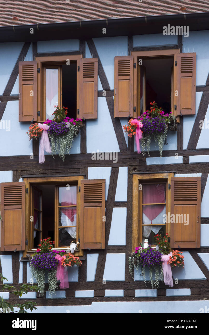 Windows, Ribeauvillé, Elsass, Departement Haut-Rhin, Frankreich, Europa Stockfoto