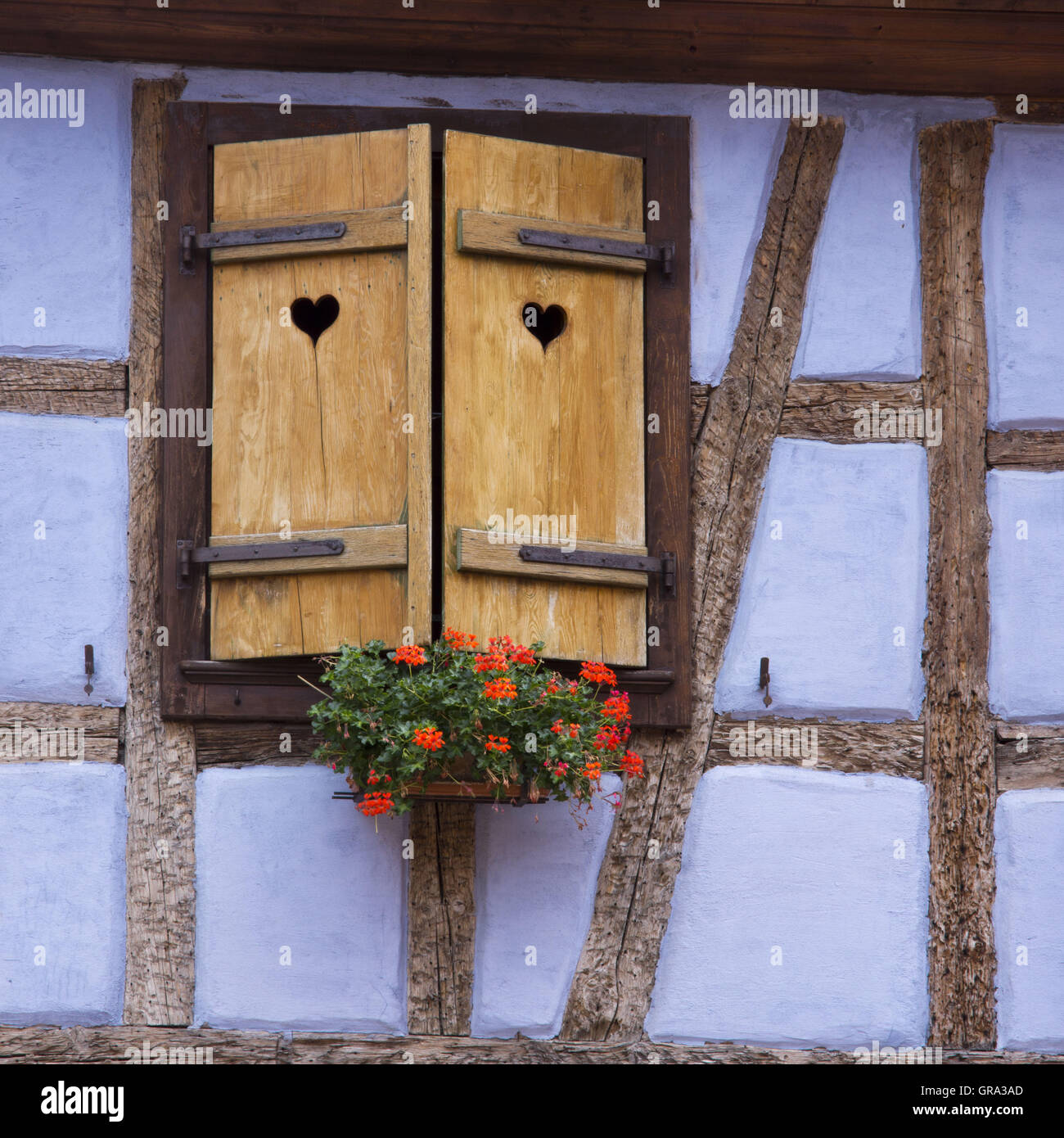 Fenster, Ribeauvillé, Elsass, Departement Haut-Rhin, Frankreich, Europa Stockfoto