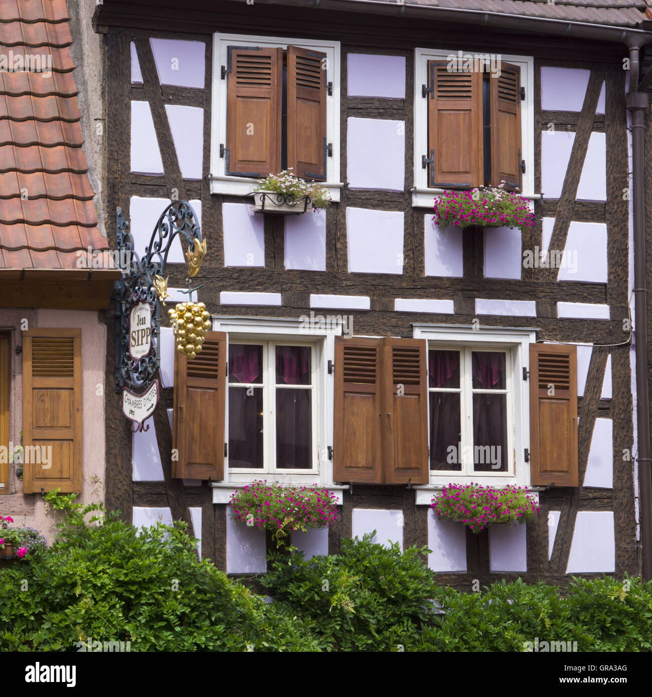 Fachwerkhaus, Ribeauvillé, Elsass, Departement Haut-Rhin, Frankreich, Europa Stockfoto