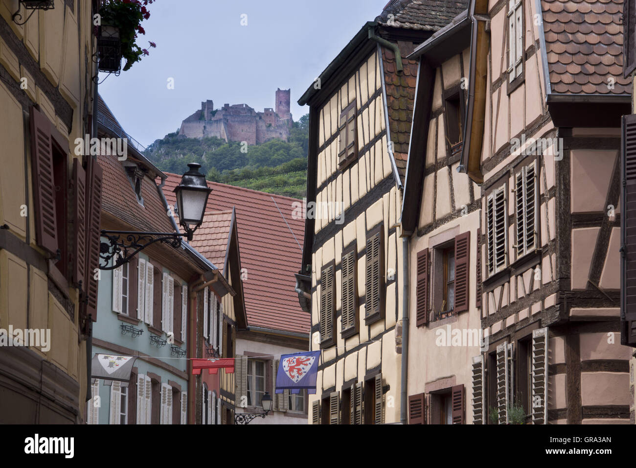 Grand Rue, im Hintergrund die Ulrichsburg Burg, Ribeauvillé, Elsass, Departement Haut-Rhin, Frankreich, Europa Stockfoto