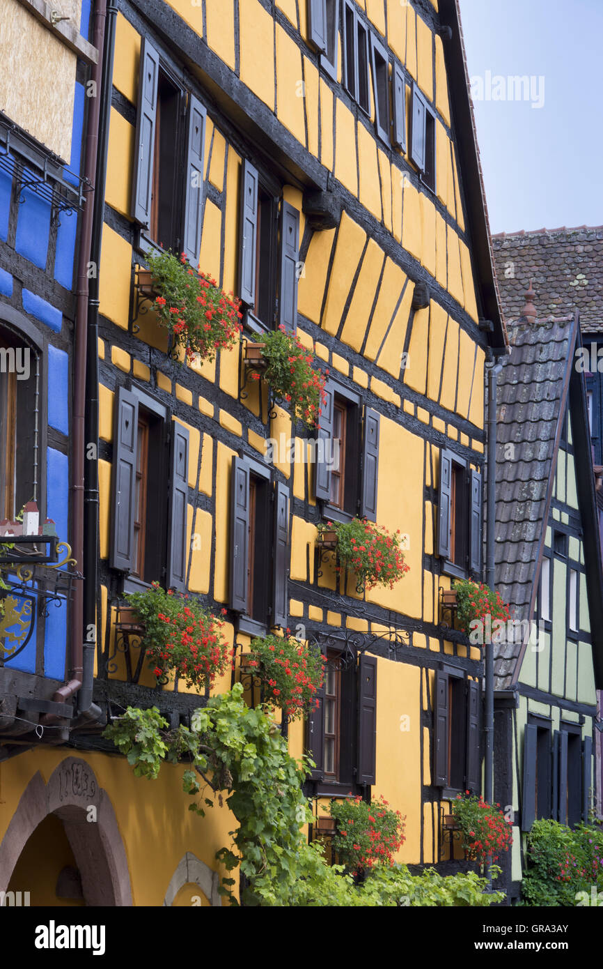 Fachwerkhäuser, Riquewihr, Elsass, Departement Haut-Rhin, Frankreich, Europa Stockfoto