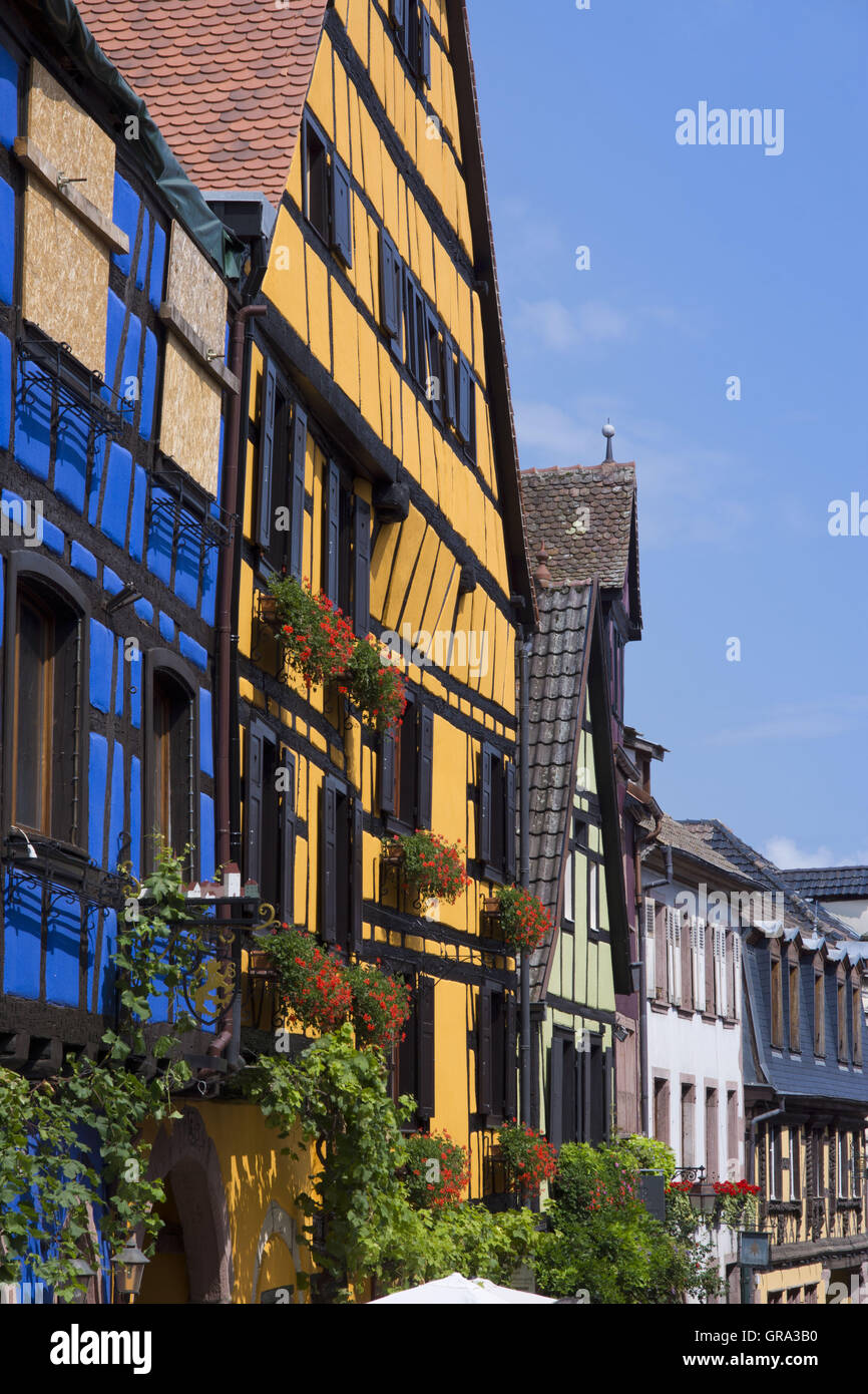 Fachwerkhäuser, Riquewihr, Elsass, Departement Haut-Rhin, Frankreich, Europa Stockfoto