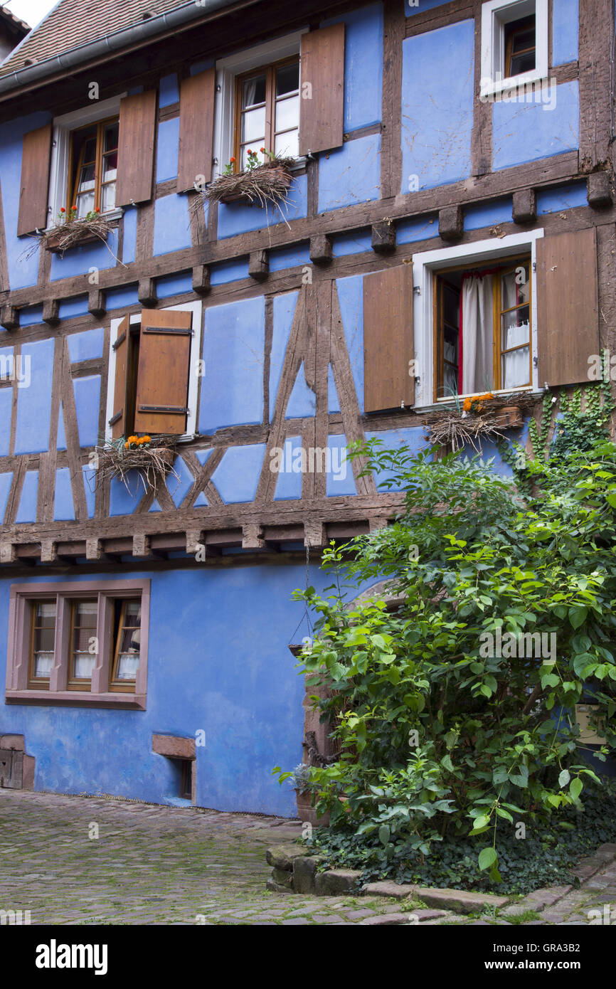 Fachwerkhäuser, Riquewihr, Elsass, Departement Haut-Rhin, Frankreich, Europa Stockfoto