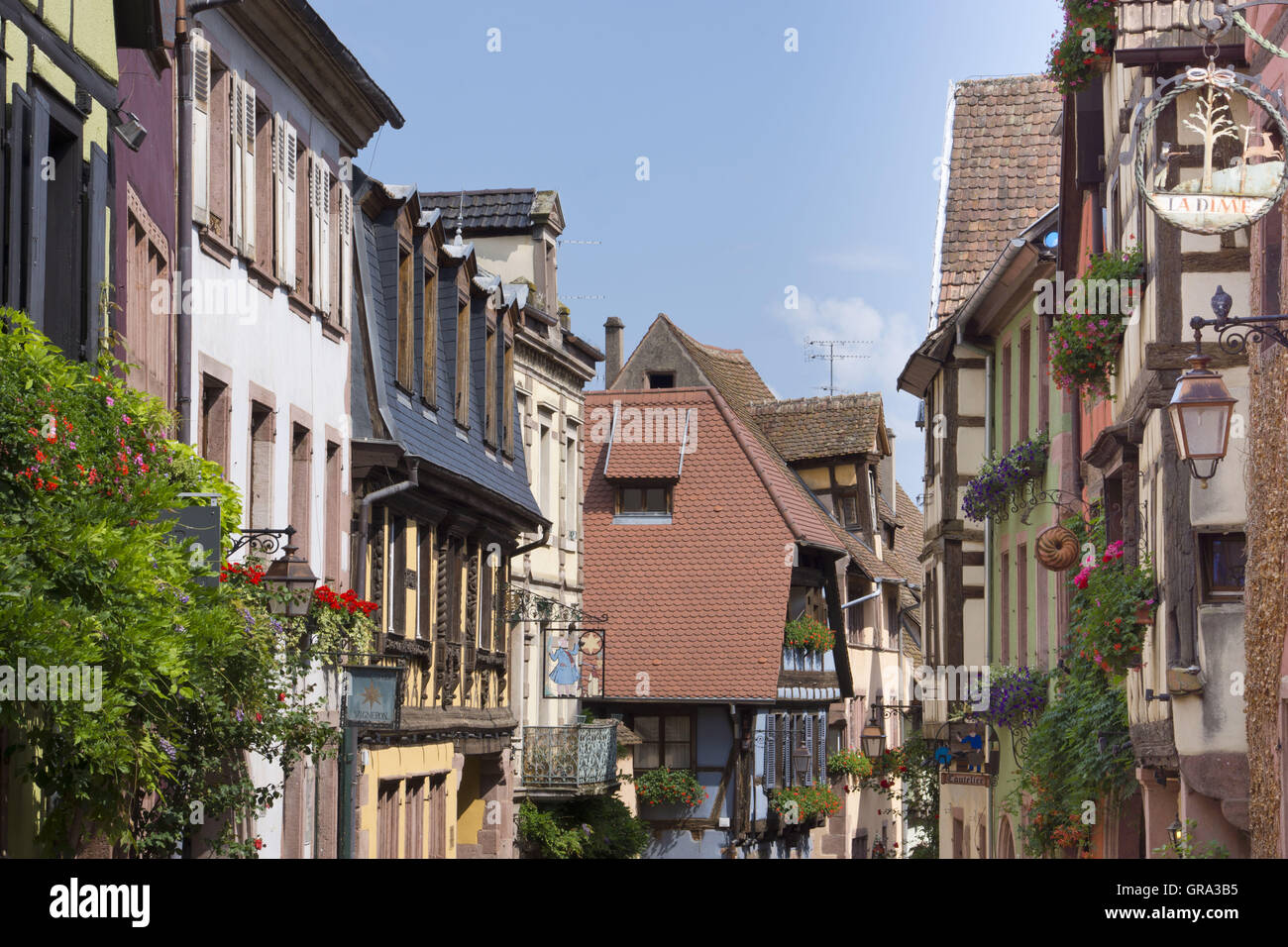 Fachwerkhäuser, Riquewihr, Elsass, Departement Haut-Rhin, Frankreich, Europa Stockfoto