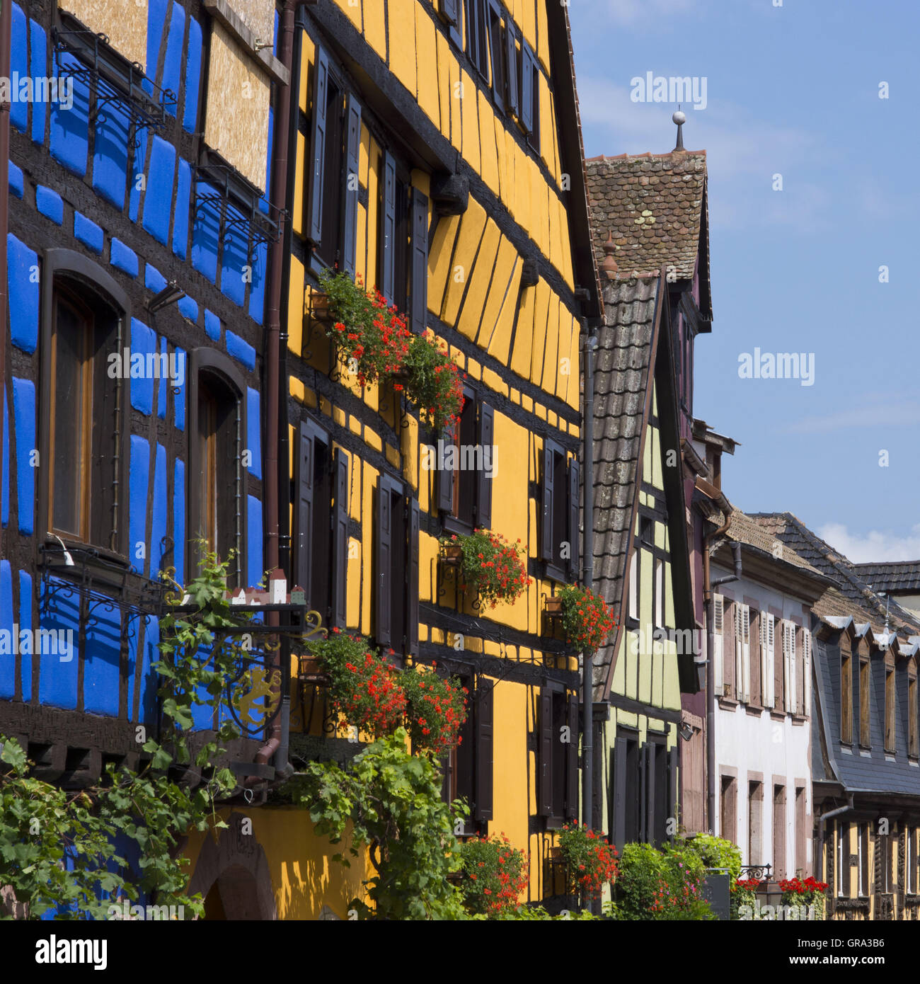 Fachwerkhäuser, Riquewihr, Elsass, Departement Haut-Rhin, Frankreich, Europa Stockfoto