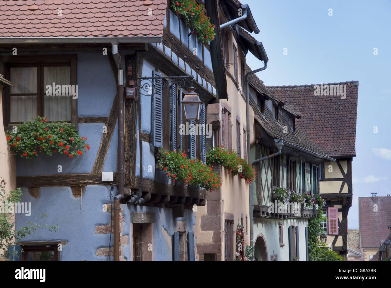 Fachwerkhäuser, Riquewihr, Elsass, Departement Haut-Rhin, Frankreich, Europa Stockfoto