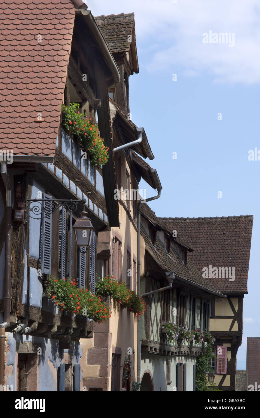 Fachwerkhäuser, Riquewihr, Elsass, Departement Haut-Rhin, Frankreich, Europa Stockfoto