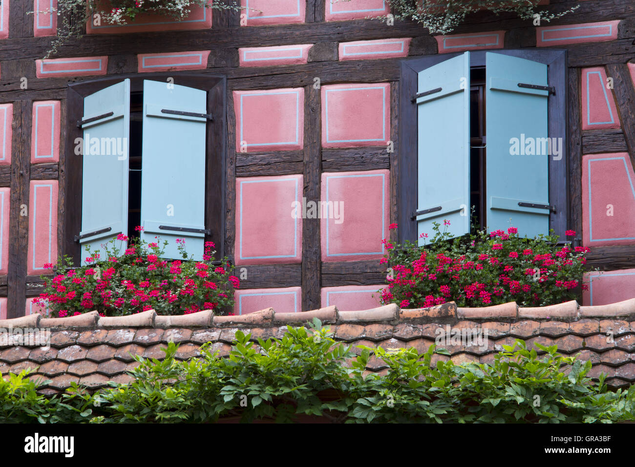 Fenster, Riquewihr, Elsass, Departement Haut-Rhin, Frankreich, Europa Stockfoto
