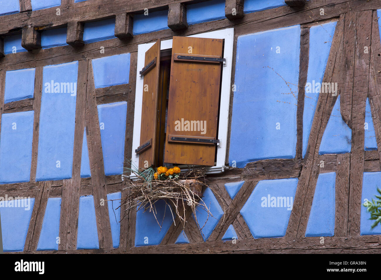 Fenster, Riquewihr, Elsass, Departement Haut-Rhin, Frankreich, Europa Stockfoto