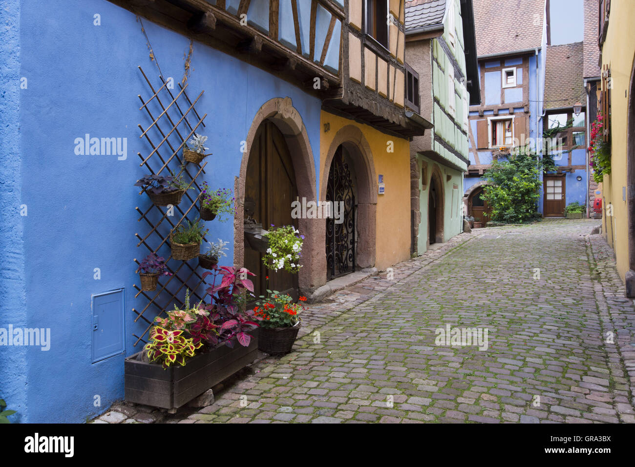 Riquewihr, Elsass, Departement Haut-Rhin, Frankreich, Europa Stockfoto