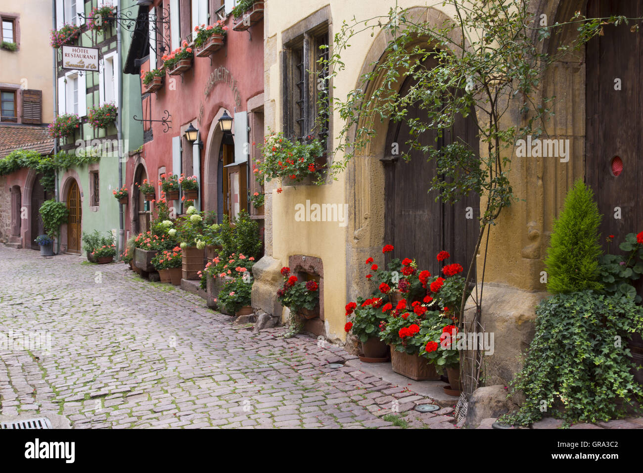 Riquewihr, Elsass, Departement Haut-Rhin, Frankreich, Europa Stockfoto