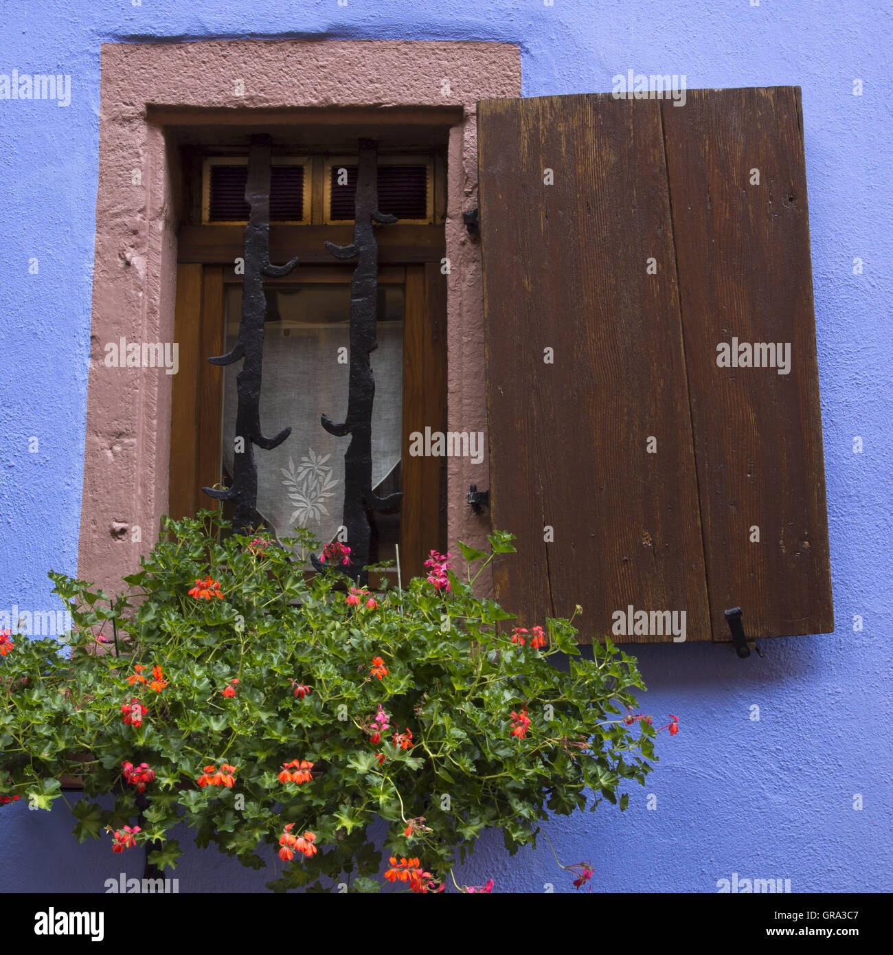 Fenster, Riquewihr, Elsass, Departement Haut-Rhin, Frankreich, Europa Stockfoto