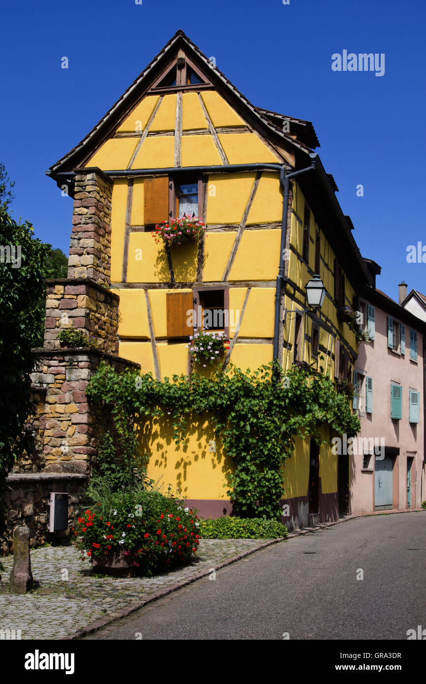 Fachwerkhaus, Turckheim, Elsass, Departement Haut-Rhin, Frankreich, Europa Stockfoto