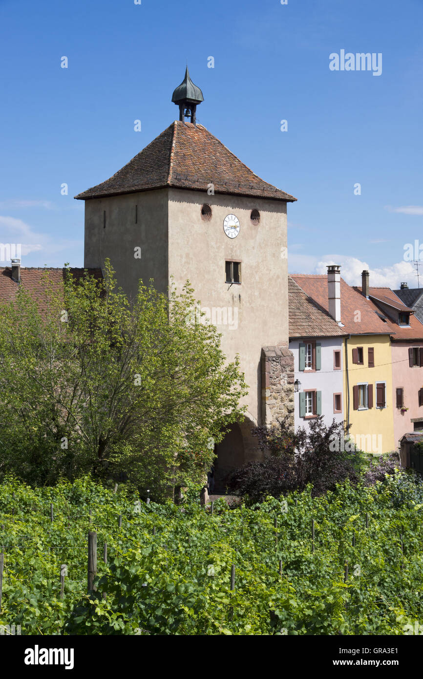 Turckheim, Departemant Haut-Rhin, Elsass, Frankreich, Europa Stockfoto