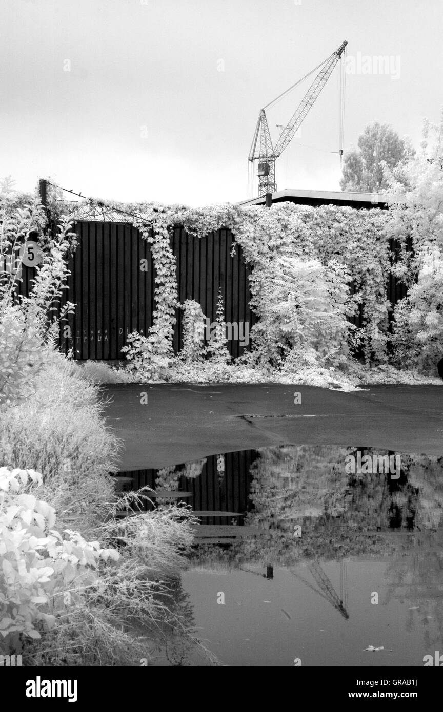Landschaft der Stadtpark, Infrarot-Fotografie. Stockfoto